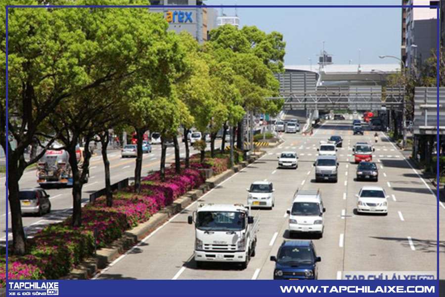 bằng lái xe tại nhật không cho phép thời hạn 10 năm