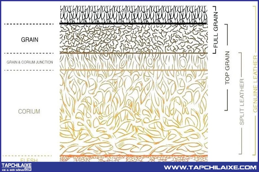 Các lớp của da tự nhiên