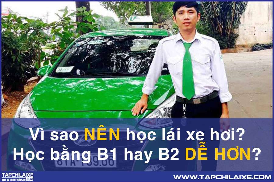 Có bằng lái ô tô có thể làm nghề tài xế