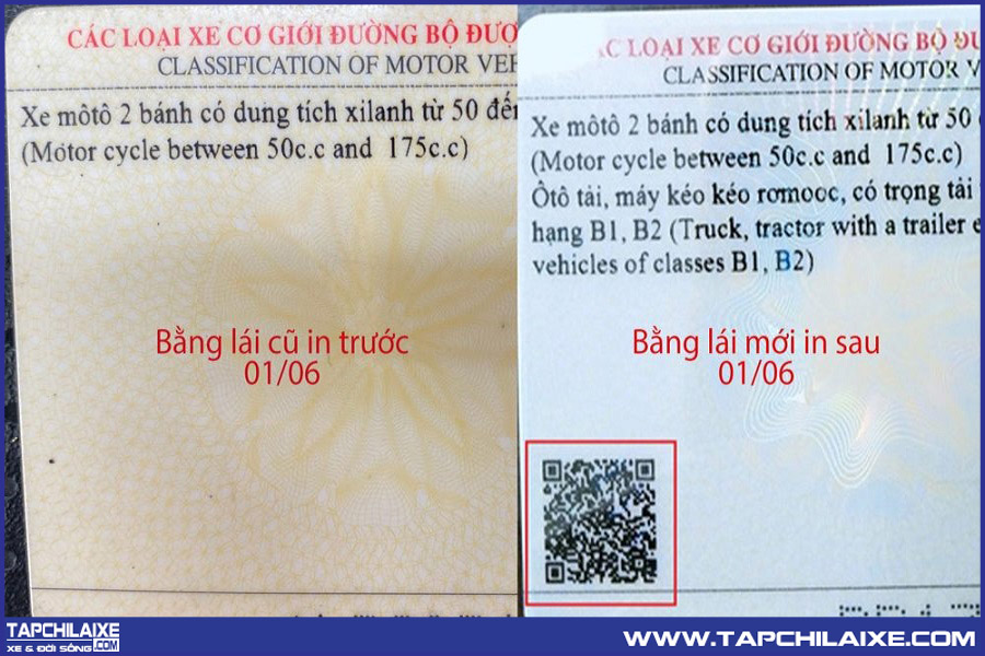 Mã qr được in vào mặt sau giấy phép lái xe để phân biệt bằng thật bằng giả