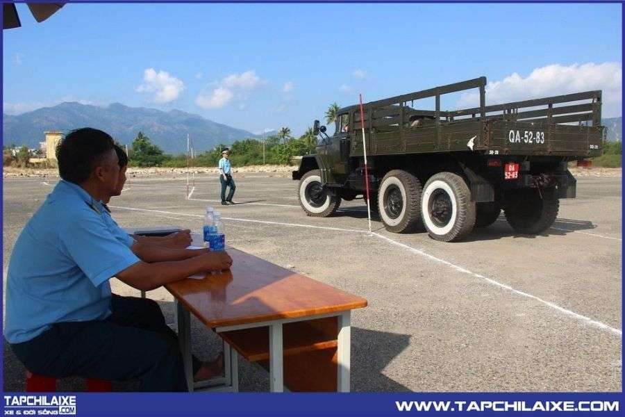 Thi hình chữ chi