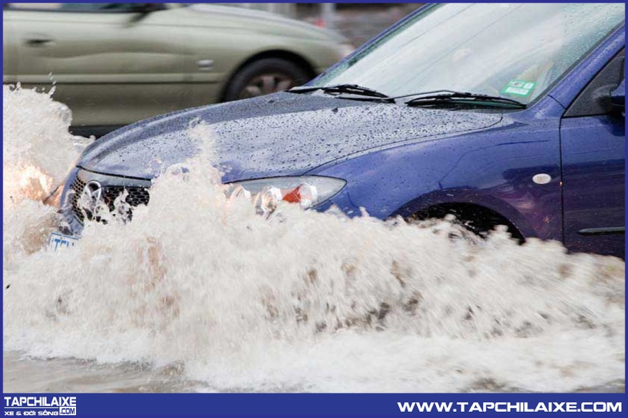 Xe dễ chết máy trong vùng ngập nước