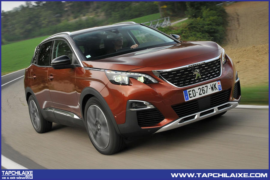 Xe nâu đất cho tuổi Dần 